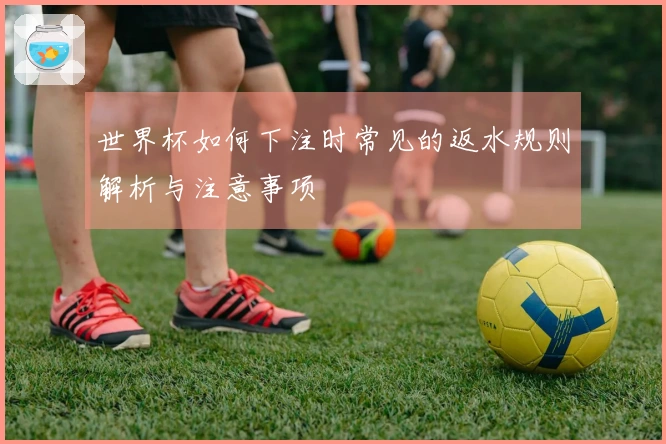 世界杯如何下注时常见的返水规则解析与注意事项